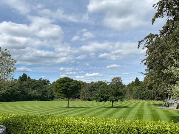 Neat lines mown into lawn around a couple of trees