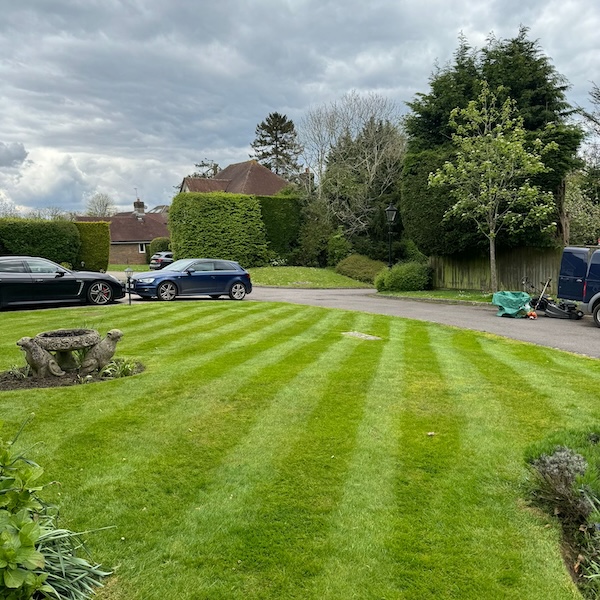 Neat lines mown into lawn