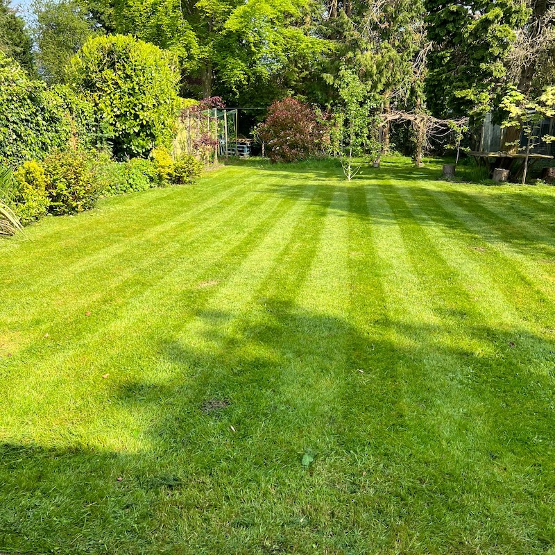 Freshly cut lawn with tram lines